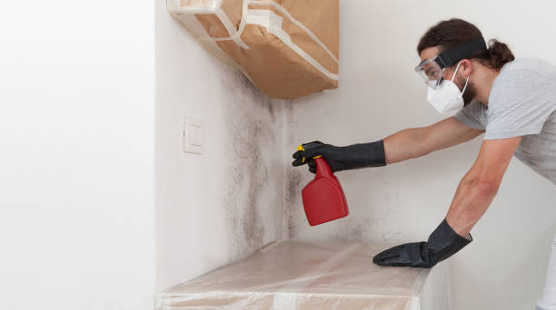 Professional Mold Removal technician working in Glen Head, NY